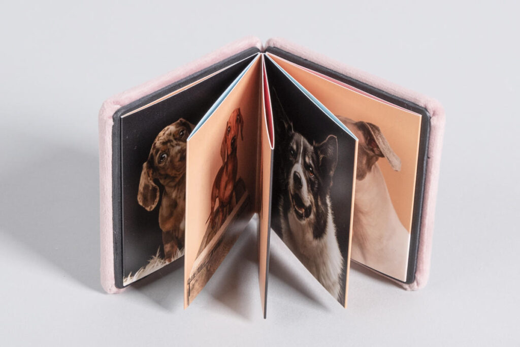 Cennik Foto Produkty 68 harmonijka 5 0